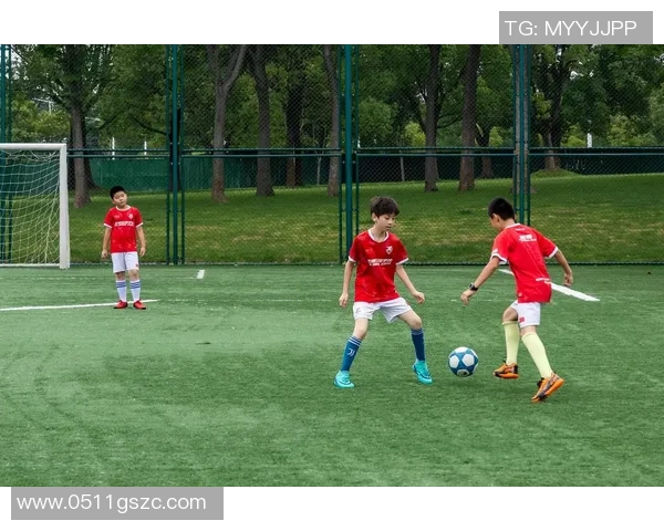 追逐足球明星的梦想为何总是遥不可及的原因分析与思考