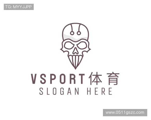 关于VSport