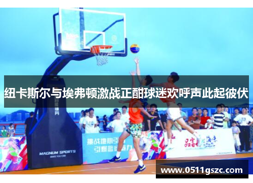纽卡斯尔与埃弗顿激战正酣球迷欢呼声此起彼伏